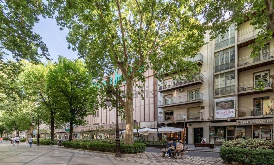 גרנדה Apartamento Con Terraza A 4 Minutos De La Catedral מראה חיצוני תמונה